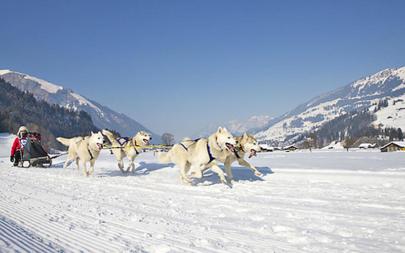 Adelboden-Lenk-Frutigen